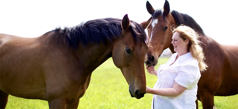 Personal development guided by the horse