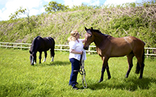 Stables